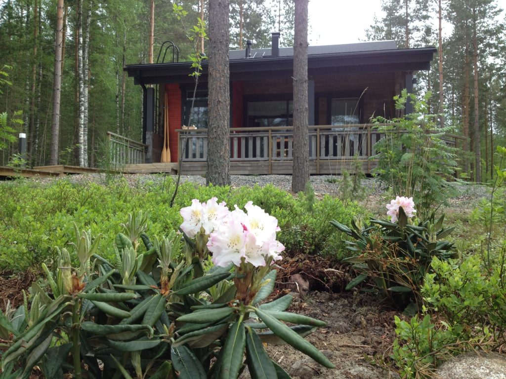 Villa Hauki
