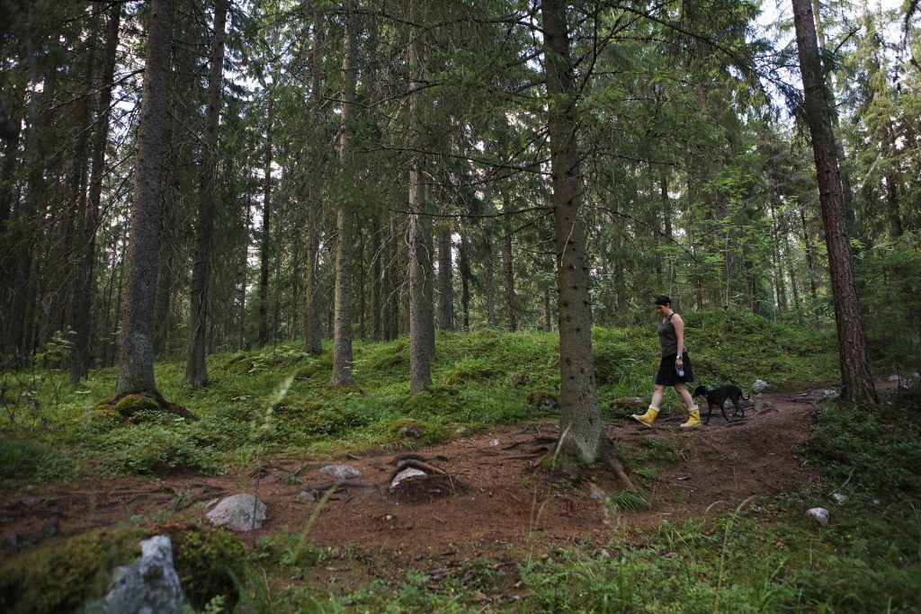 Nainen ulkoiluttaa koiraa Hatlamminsuolla.
