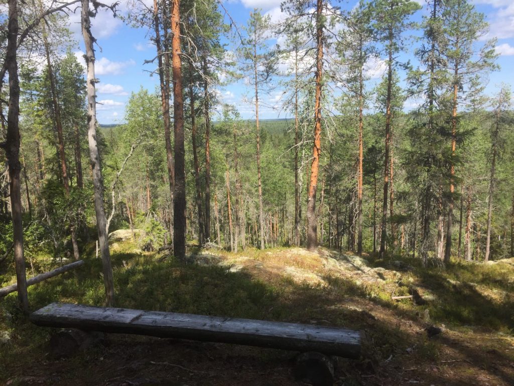 Alkkianvuori.
