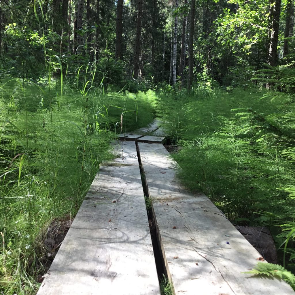 Suurola nature trail.