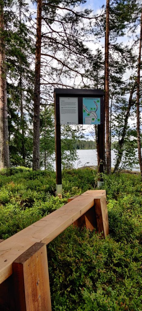 Ryönänniemi on the way of Gottland's trail