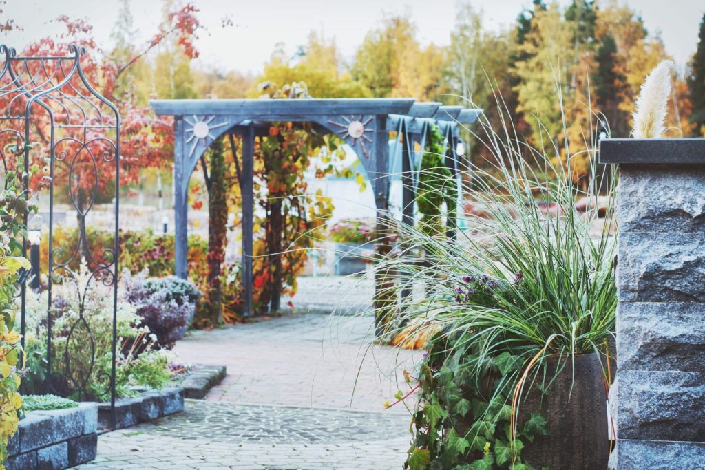 Mikkelipuisto.