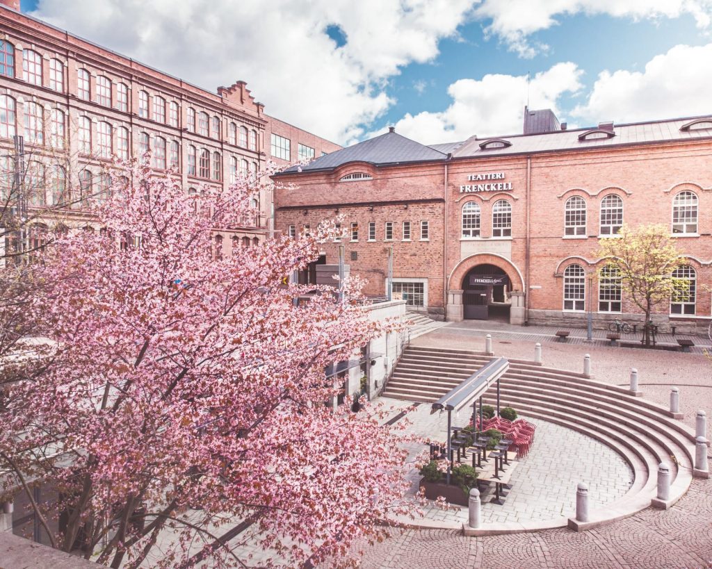 Cherry tree in blossom at the Frenckell square.