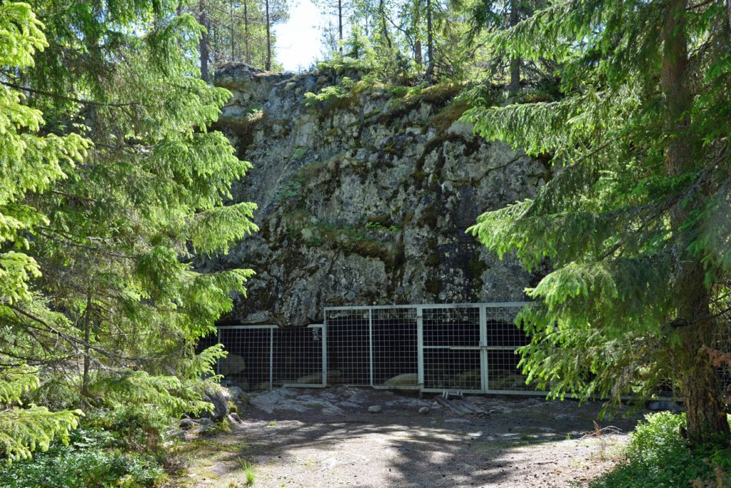 Susiluolan suuaukko ja kalliot aurinkoisena kesäpäivänä. Suuaukko on suljettu metalliportilla.
