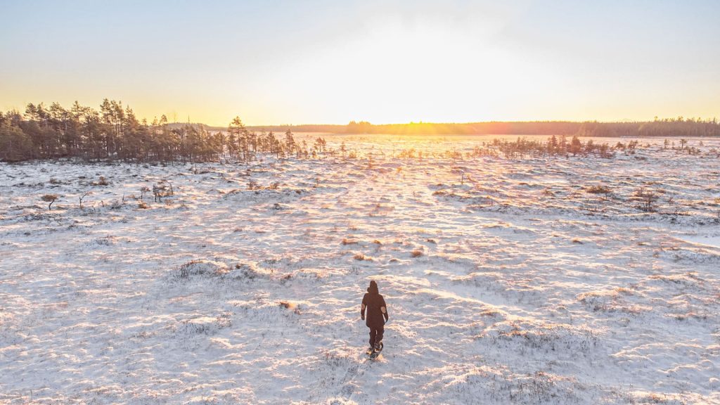 Valkmusa’s extensive natural open bogs give visitors a chance to wind down and see