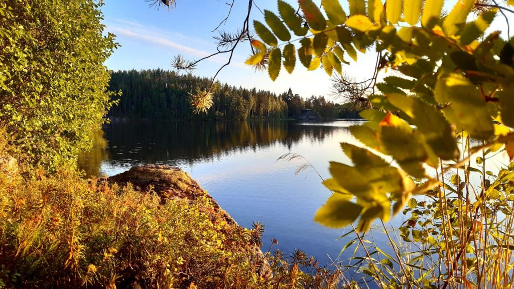 Järvenrantamaisema