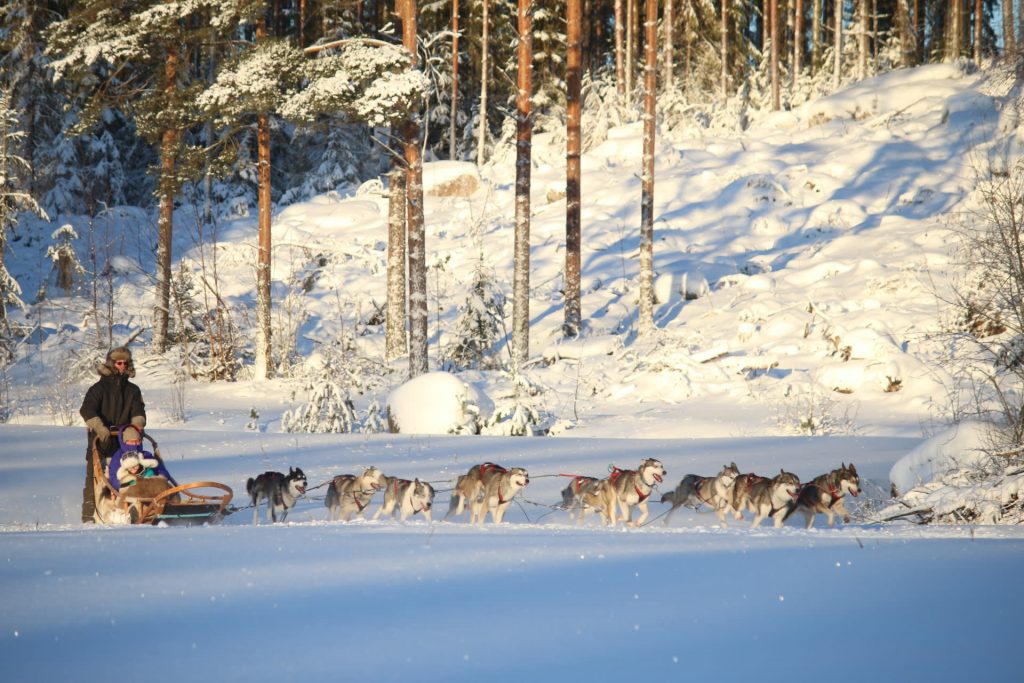 huskyvaljakko
