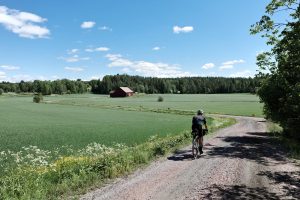 Pyöräilijä polkee läpi maalaismaiseman hiekkatietä pitkin.