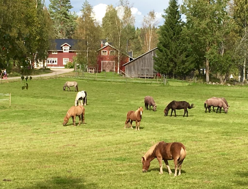 Purola Farm