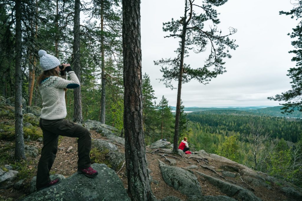 Kammiovuori