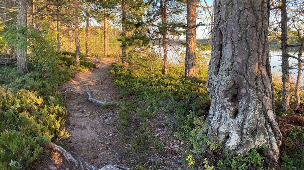 Rantapolku