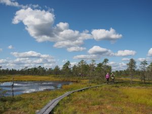 Suomaisema ja allikko. Taustalla metsää sekä kaksi retkeilijää kävelemässä pitkospuilla. Kuva: Pasi Talvitie