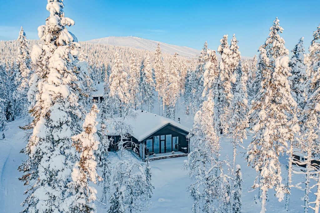Snowy landscape with a cottage. In the background